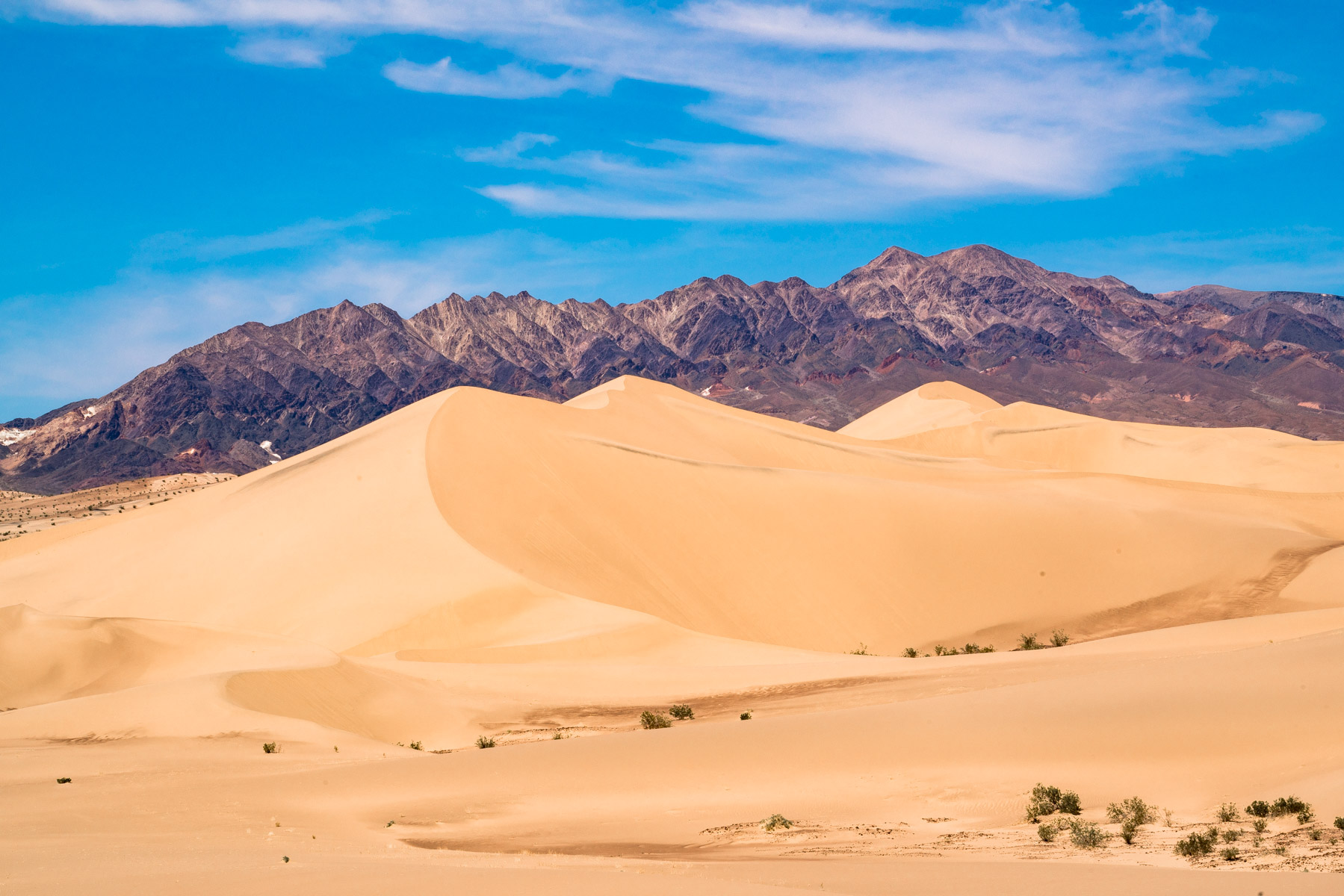Ibex Dunes in Death Valley National Park