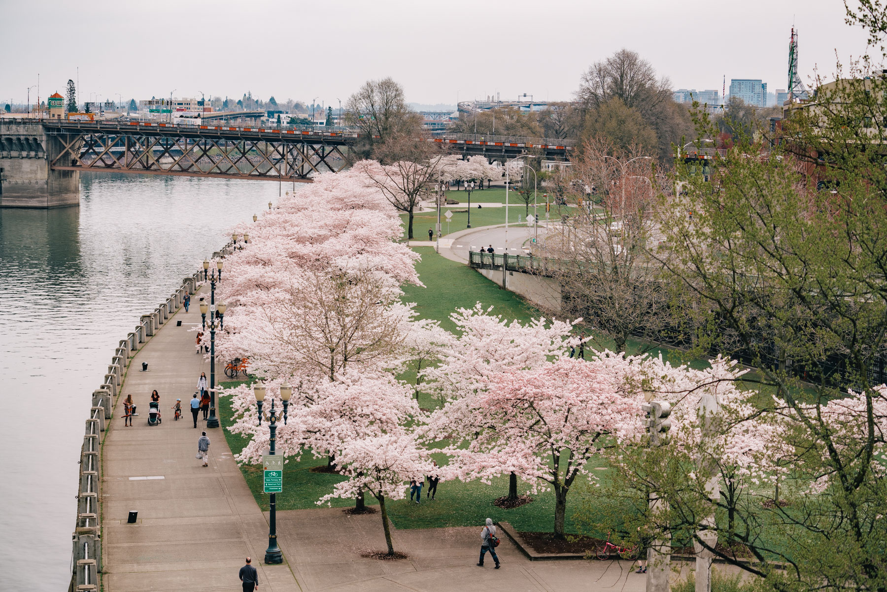 pros and cons of living in Portland Oregon
