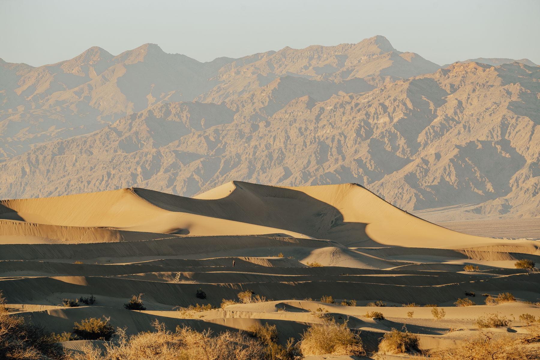 Mesquite Sand Dunes in Death Valley National Park