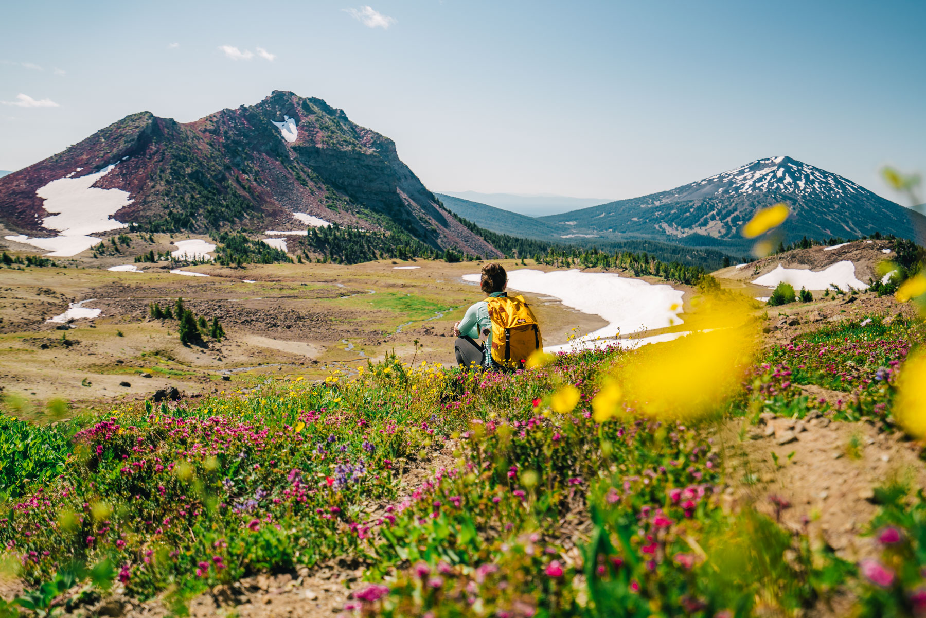 hiker near wildflowers on Broken Top Trail to No Name Lake in Bend, Oregon
