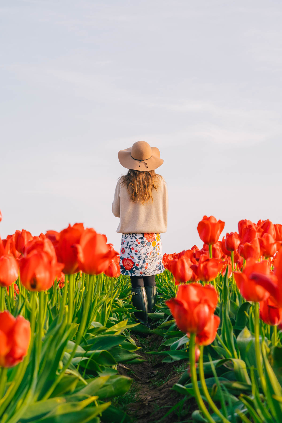 Visiting the Colorful Wooden Shoe Tulip Festival in Oregon