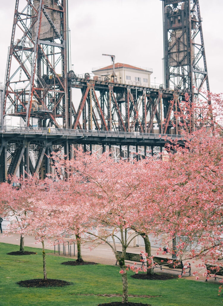 How to Spend 1 EPIC Day in Portland, Oregon