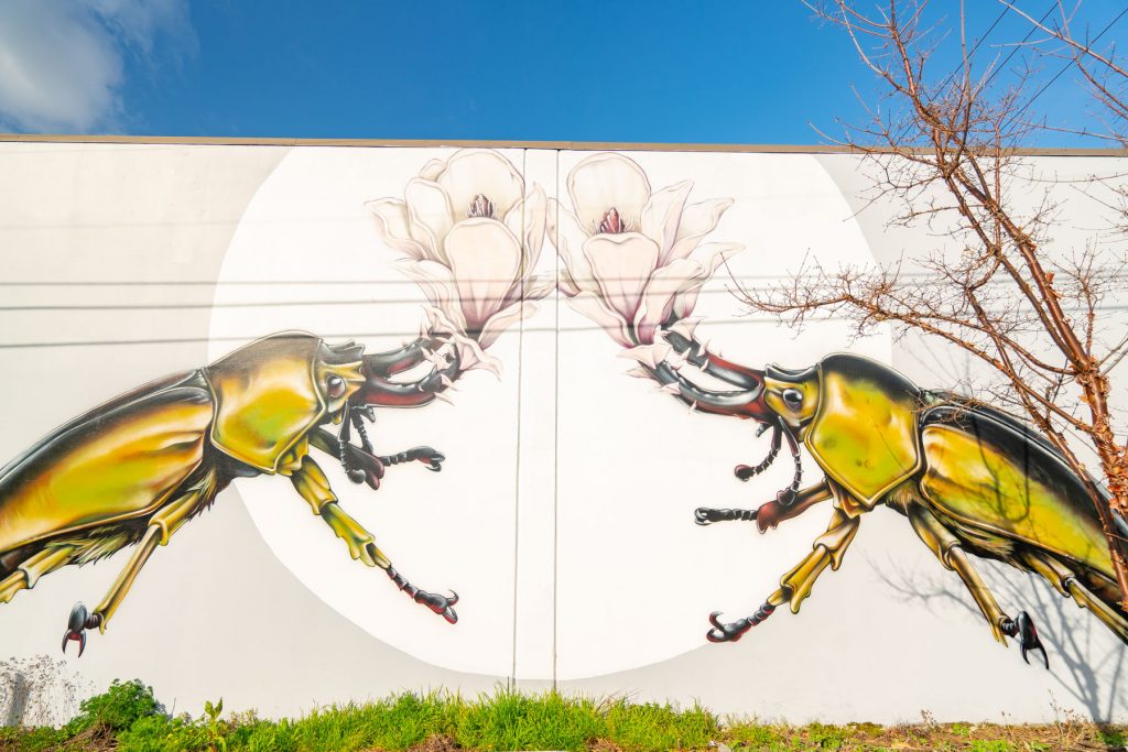 beetle mural in Portland
Best Portland murals