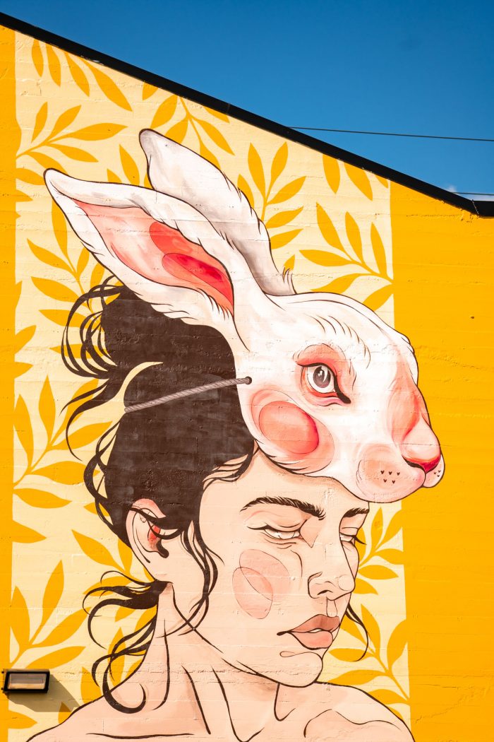 20+ Best Murals in Portland