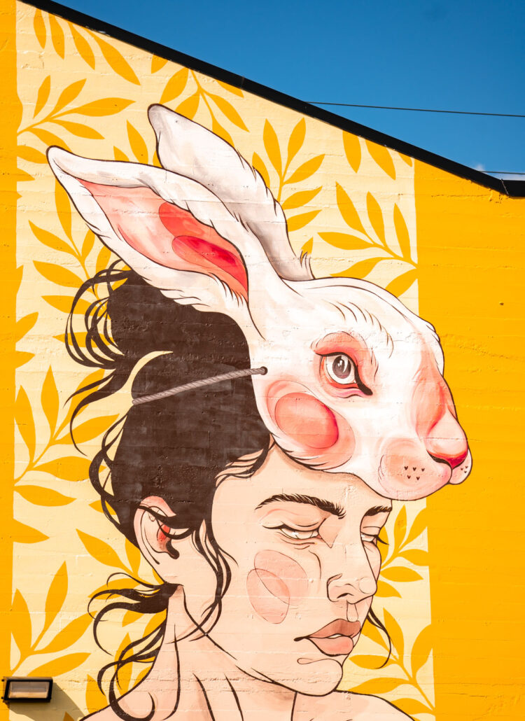 20+ Best Murals in Portland