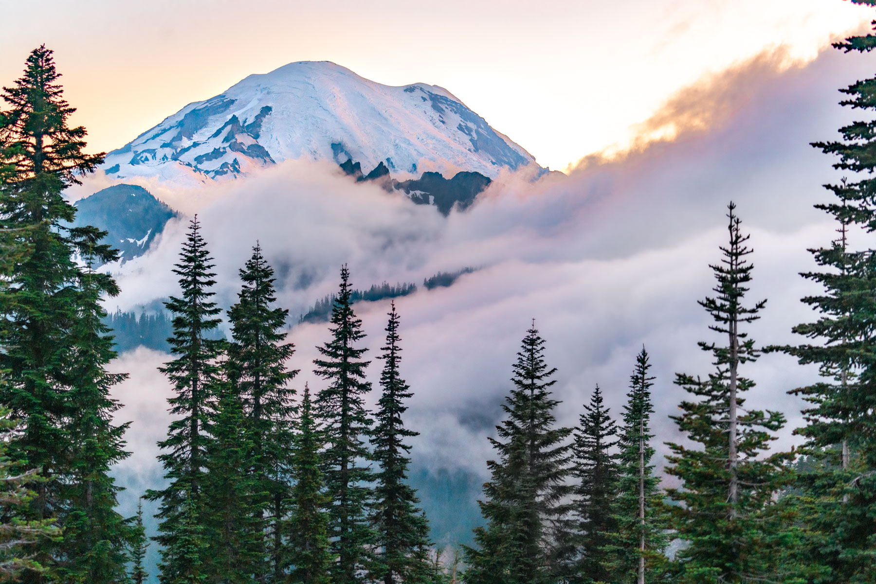 Best day hikes at Mt. Rainier National Park
