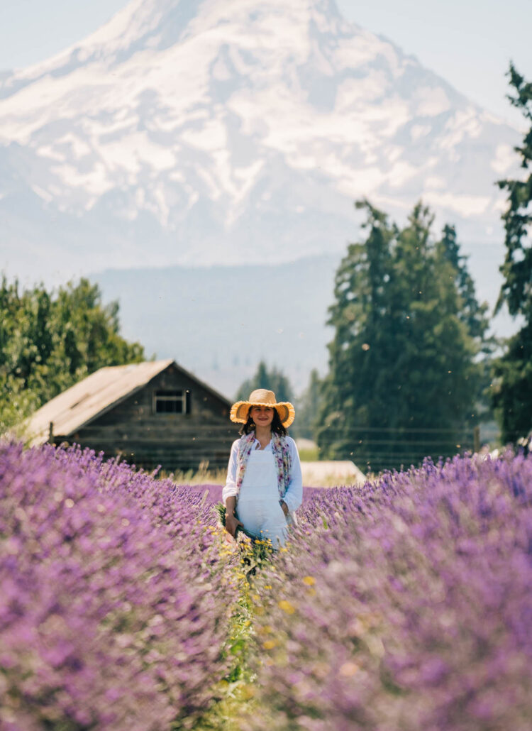 10 Enchanting Oregon Lavender Farms Worth the Drive