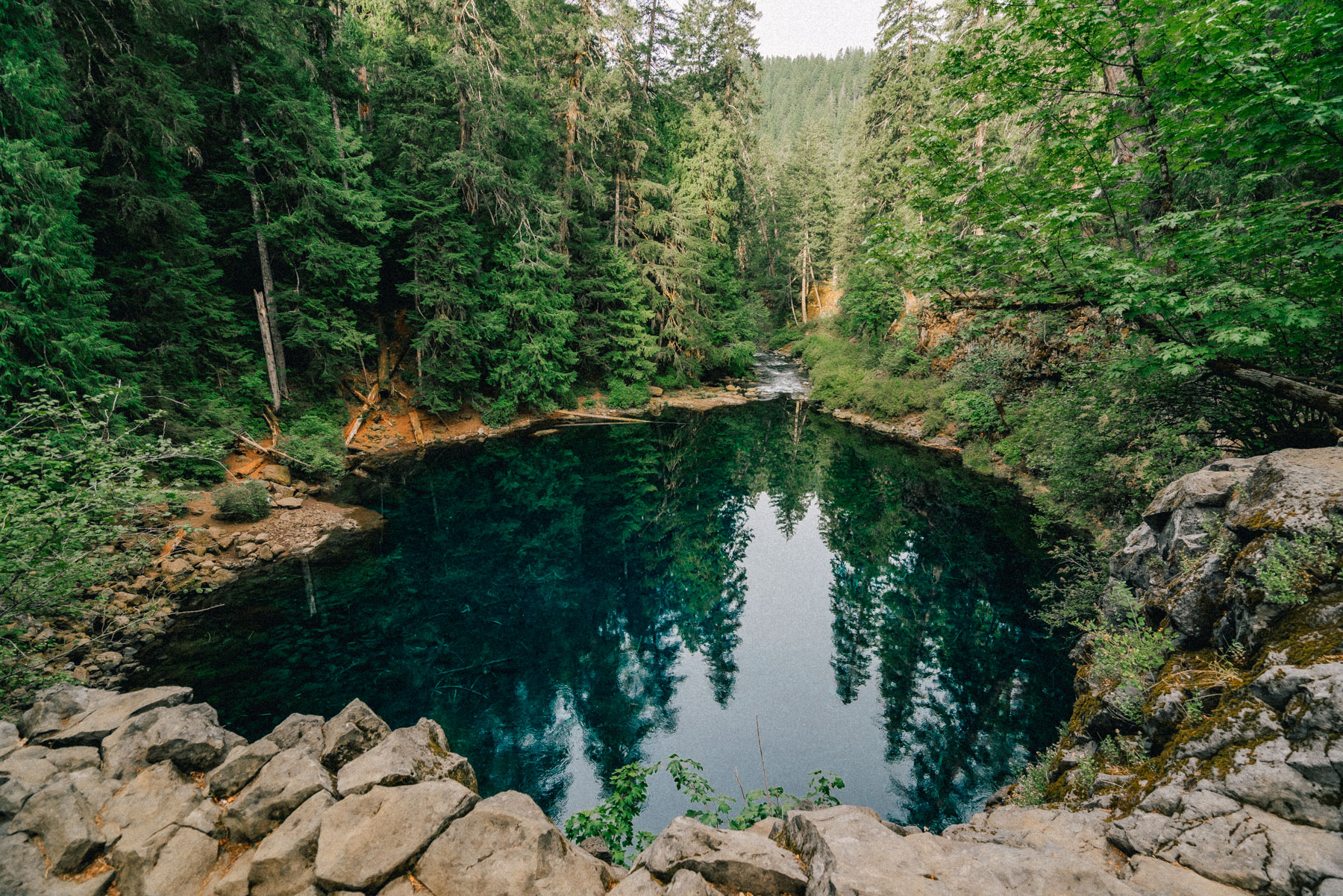 Oregon Blue Pool Tamolitch Pool