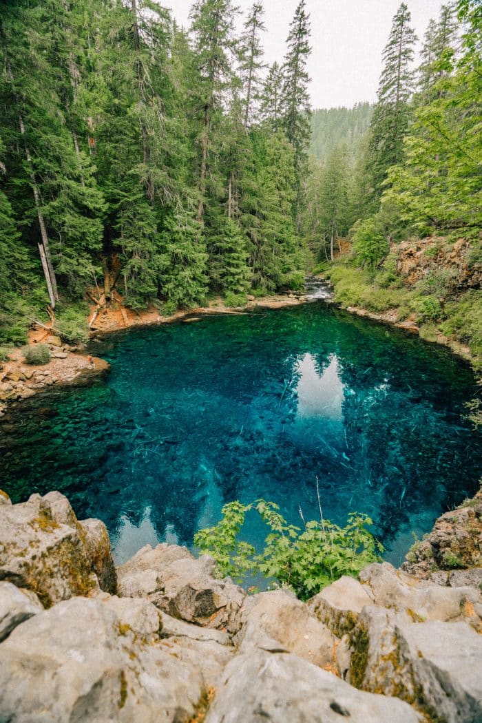 A Stunning Look at Oregon’s Famous Tamolitch Blue Pool