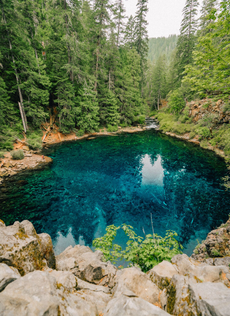 A Stunning Look at Oregon’s Famous Tamolitch Blue Pool