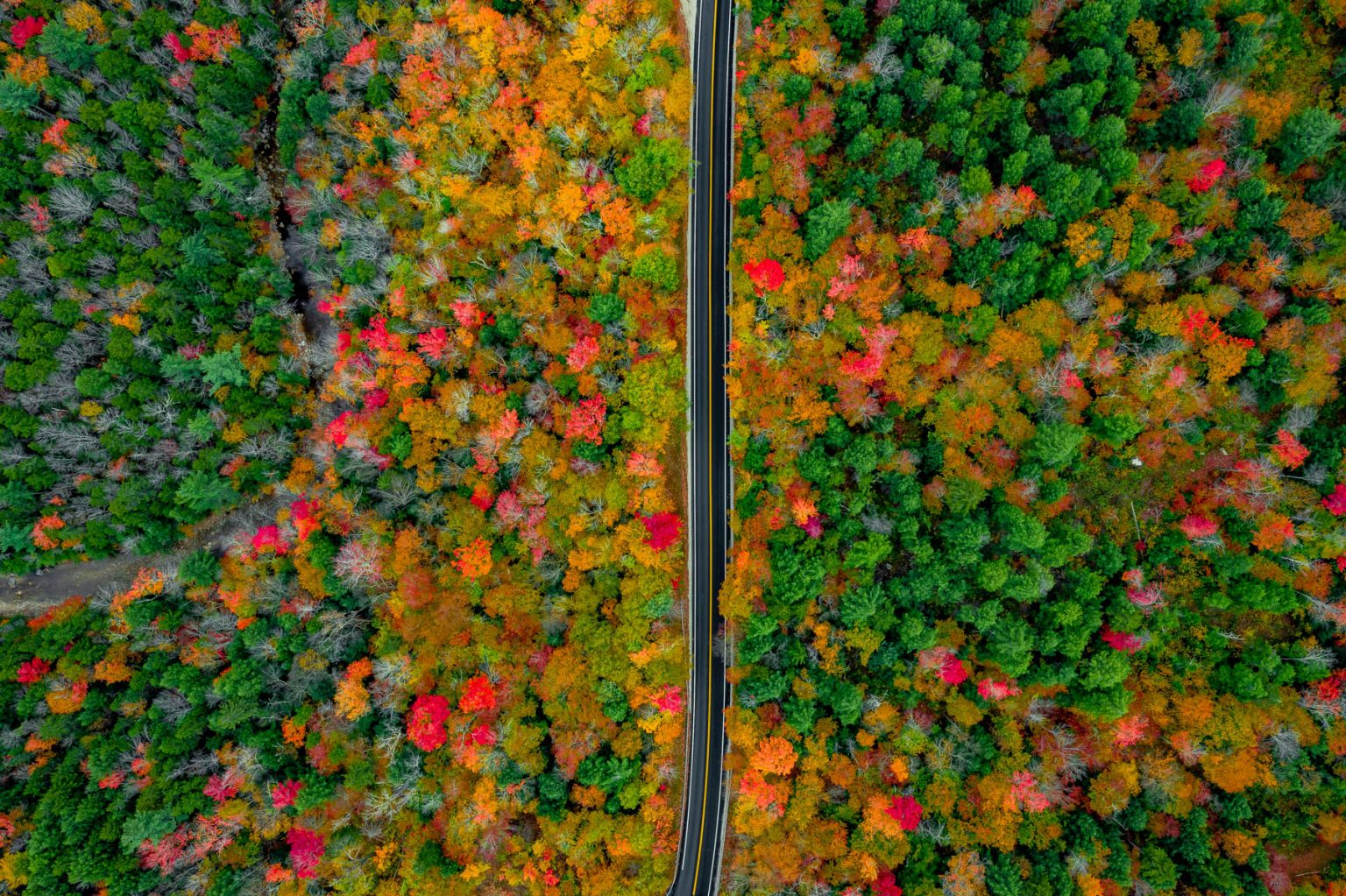 10 EPIC Spots to Experience Fall in New Hampshire (+Spoiler Alert)