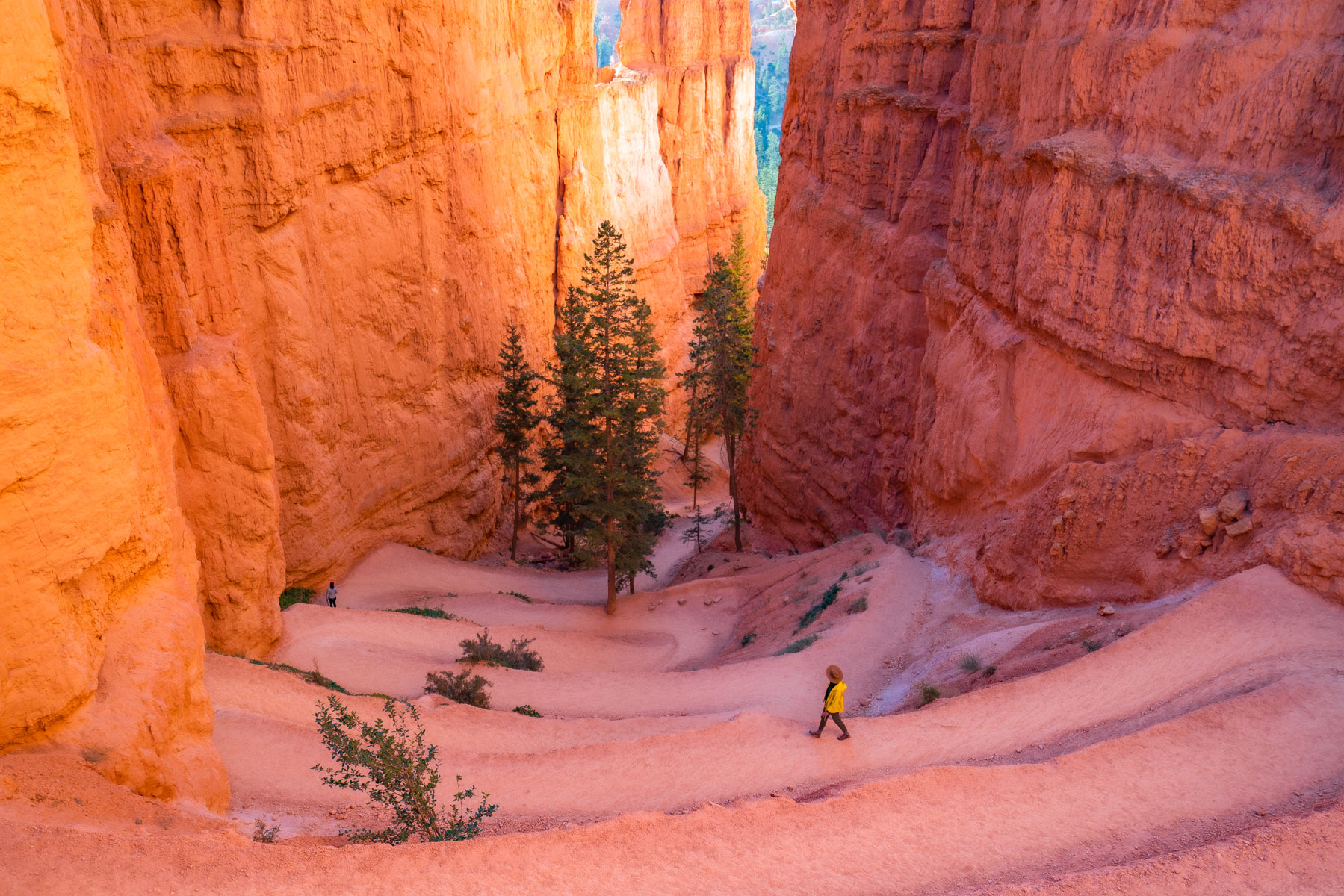 best hikes Bryce Canyon National Park