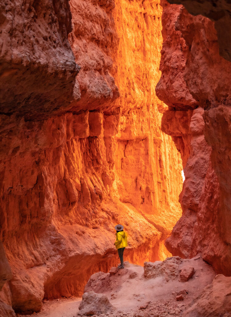 6 Breathtaking Hikes in Bryce Canyon National Park