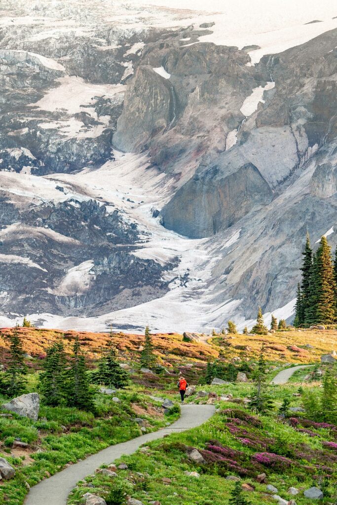 Hiking the JAWDROPPING Skyline Loop Trail at Mt. Rainier National Park