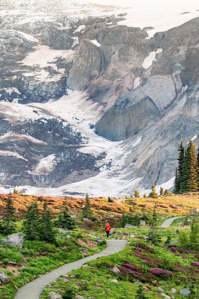 13 Jaw-Dropping Hikes at Mt. Rainier National Park (+Tips & Photos)