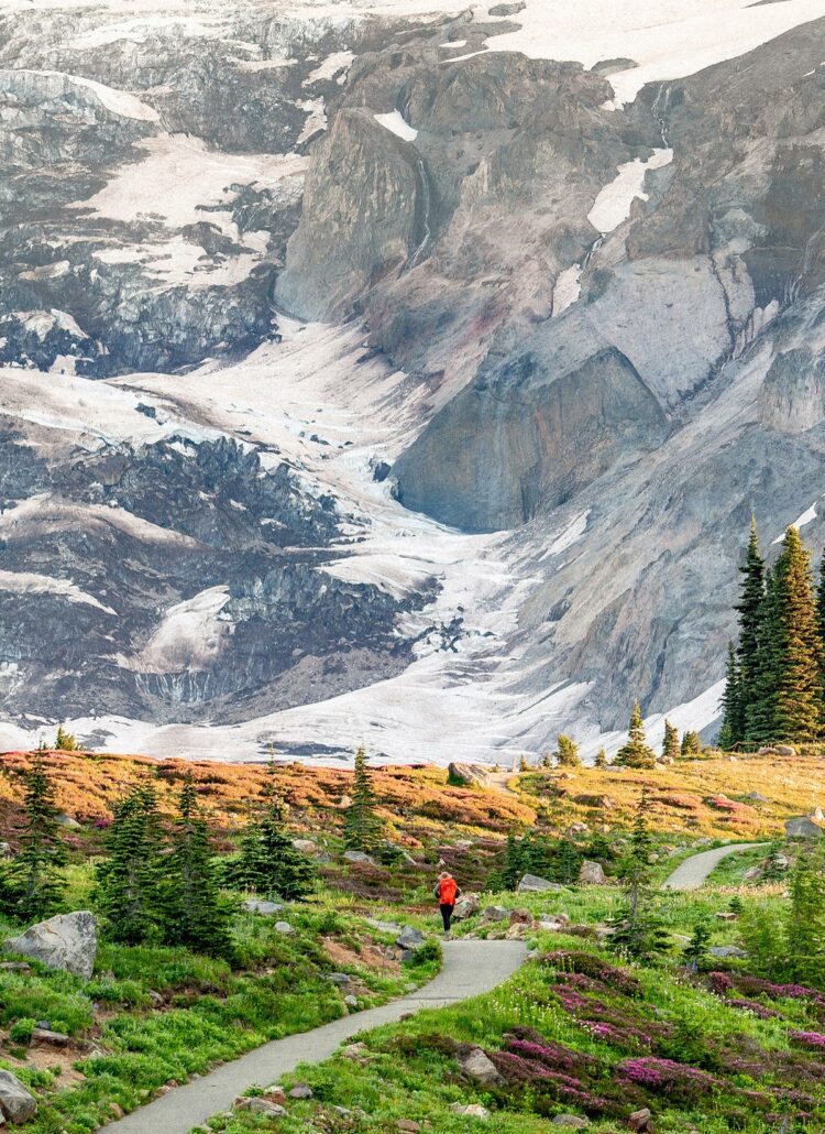13 Jaw-Dropping Hikes at Mt. Rainier National Park (+Tips & Photos)