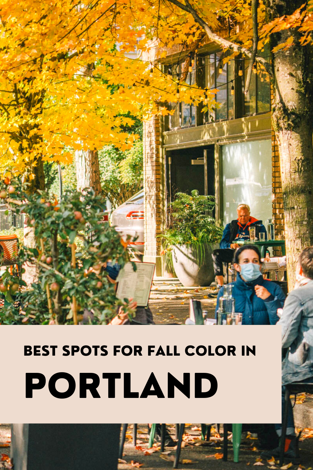 Fall Foliage Portland – When (and where) to find peak fall foliage in ...