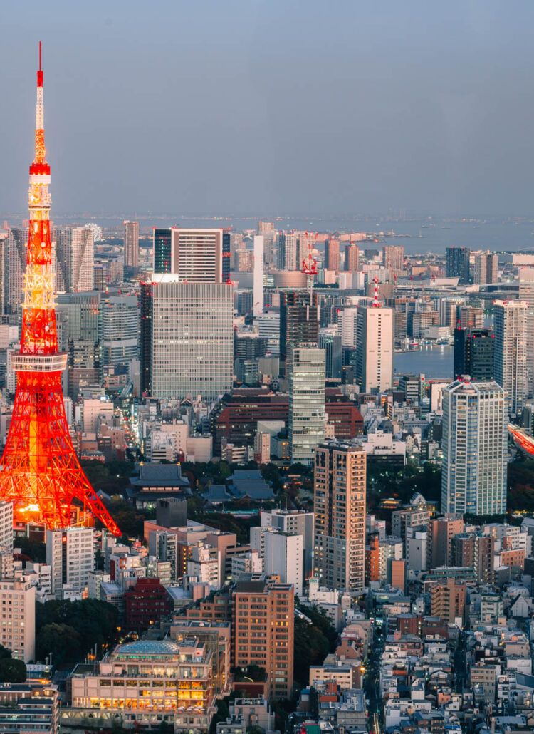 A view of Tokyo