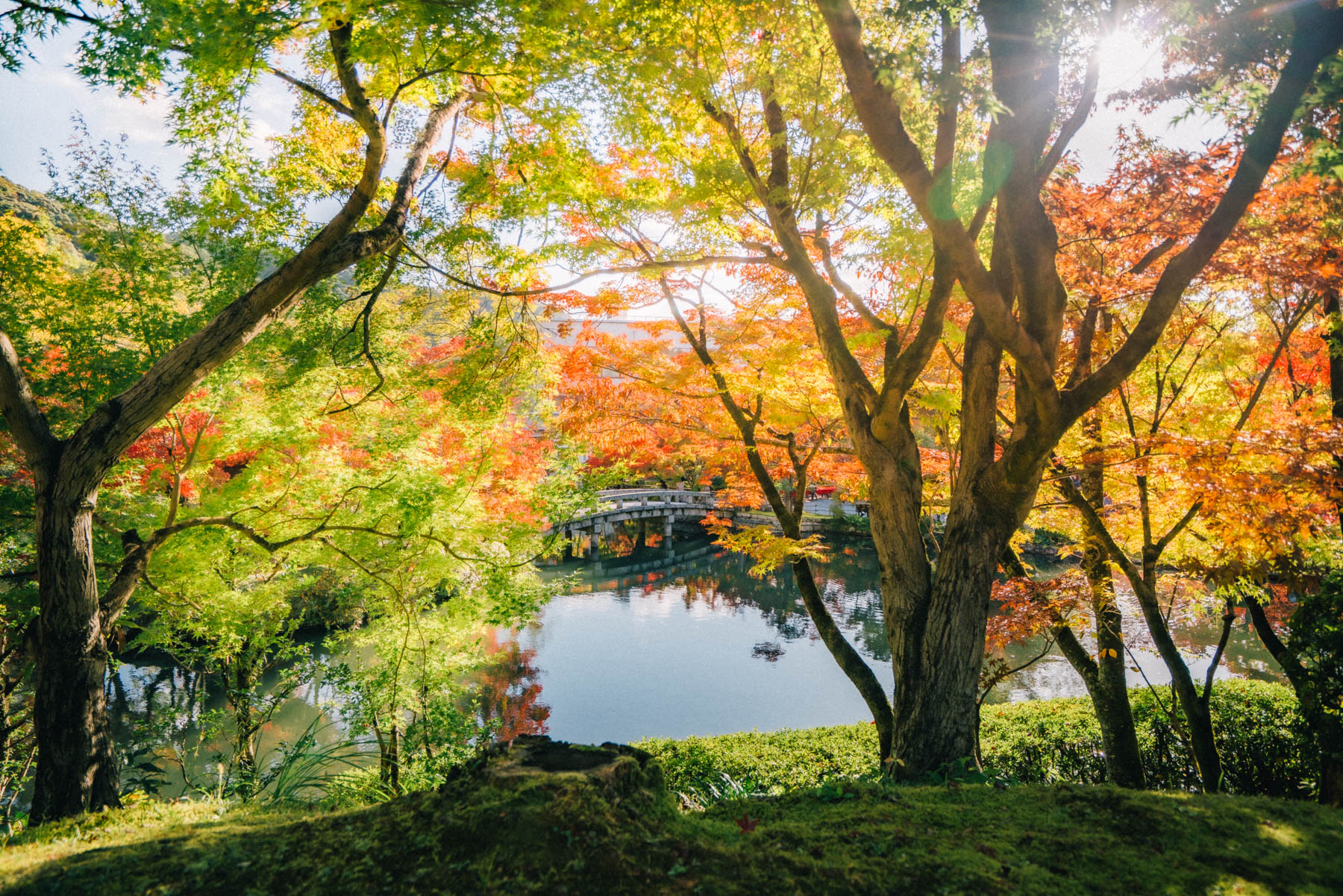 Kyoto in fall