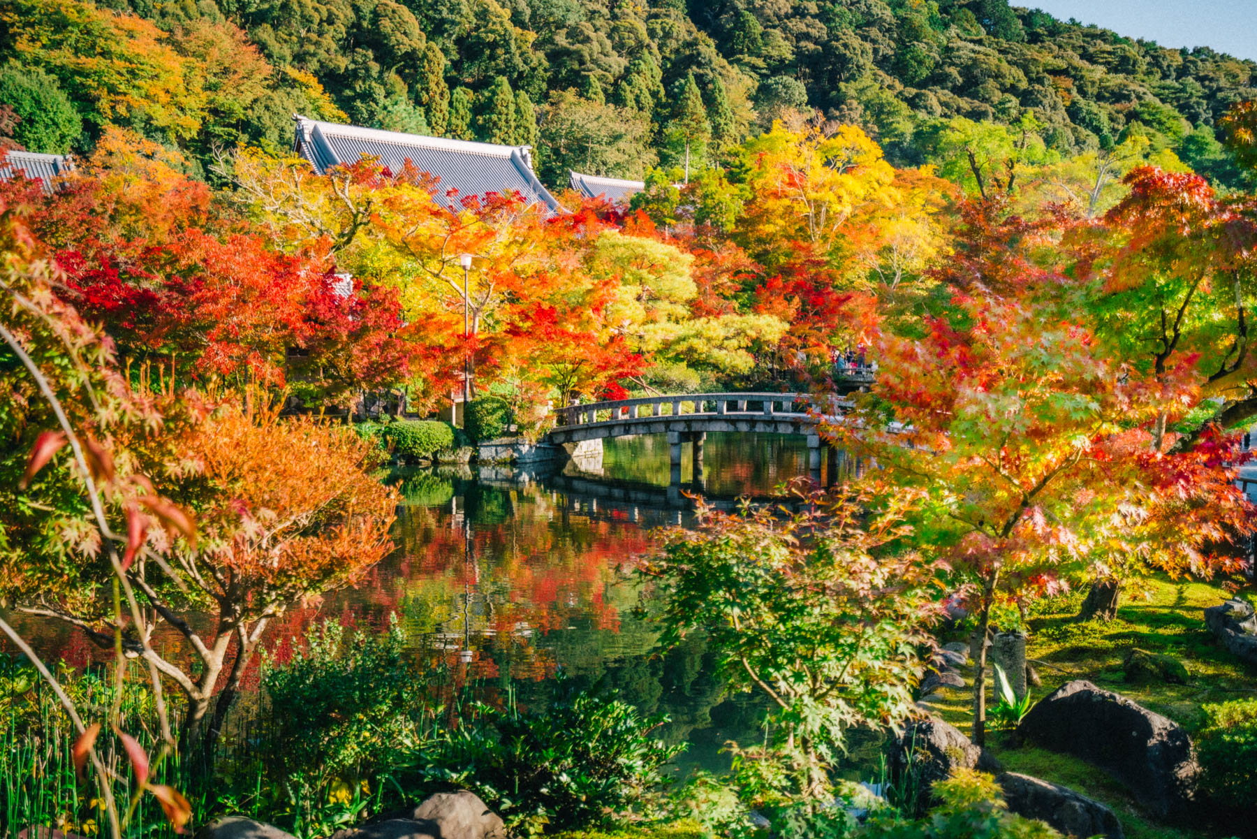 Kyoto fall foliage