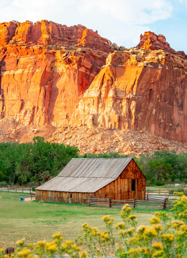 7 STUNNING Hikes at Capitol Reef National Park