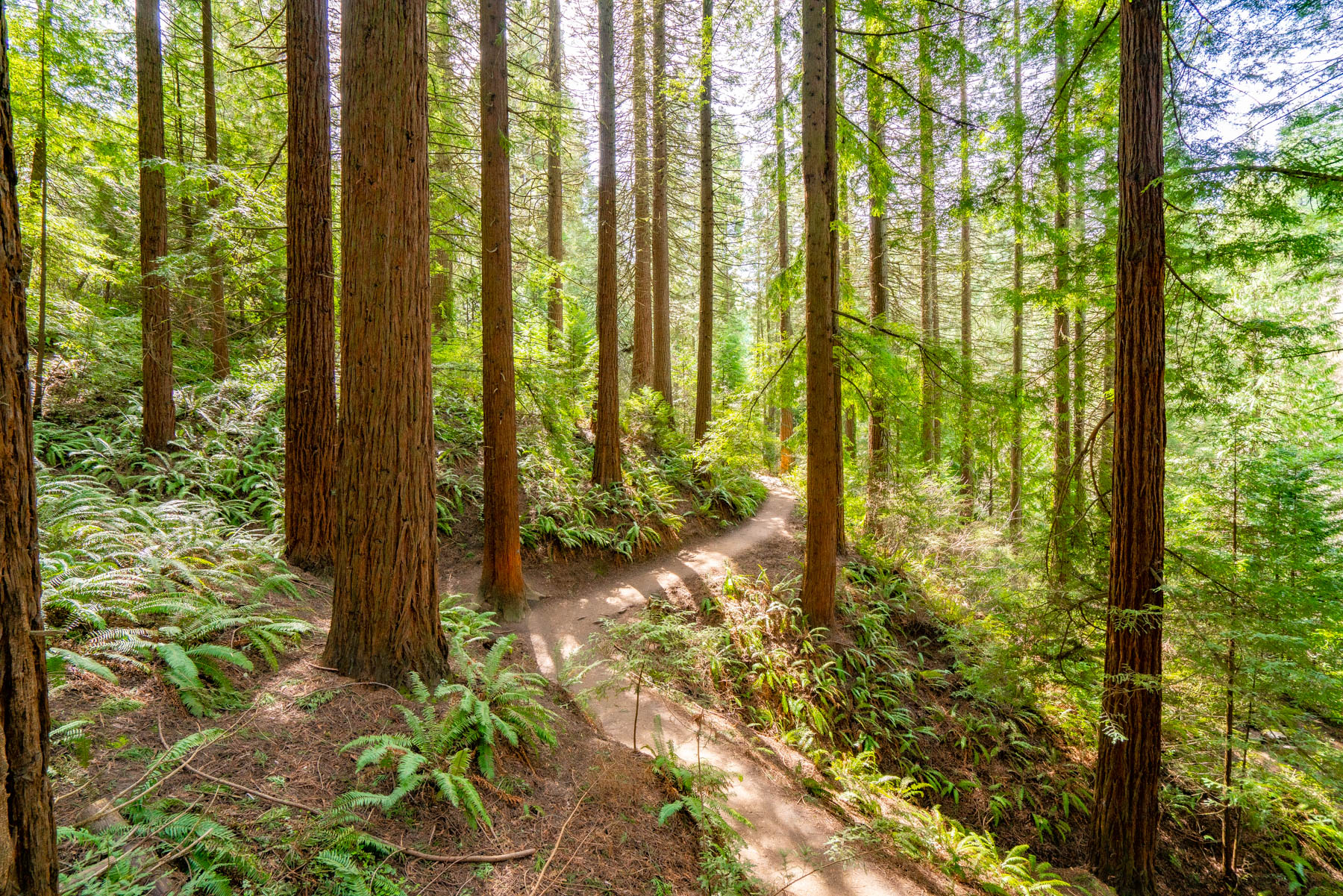 best hikes Portland Oregon