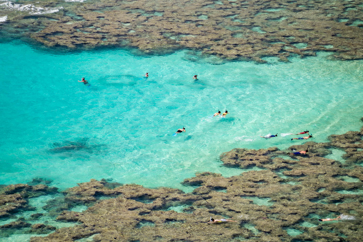 Aerial view of snorkelers floating over the clear turquoise reef of Hanauma Bay on Oahu
