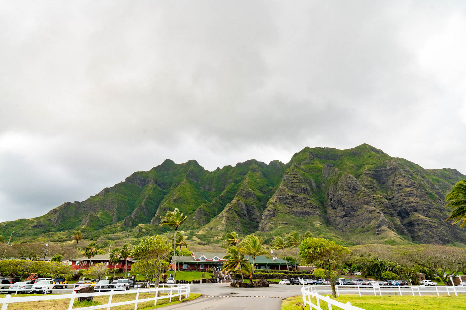 A Very Helpful Guide to Visiting Honolulu