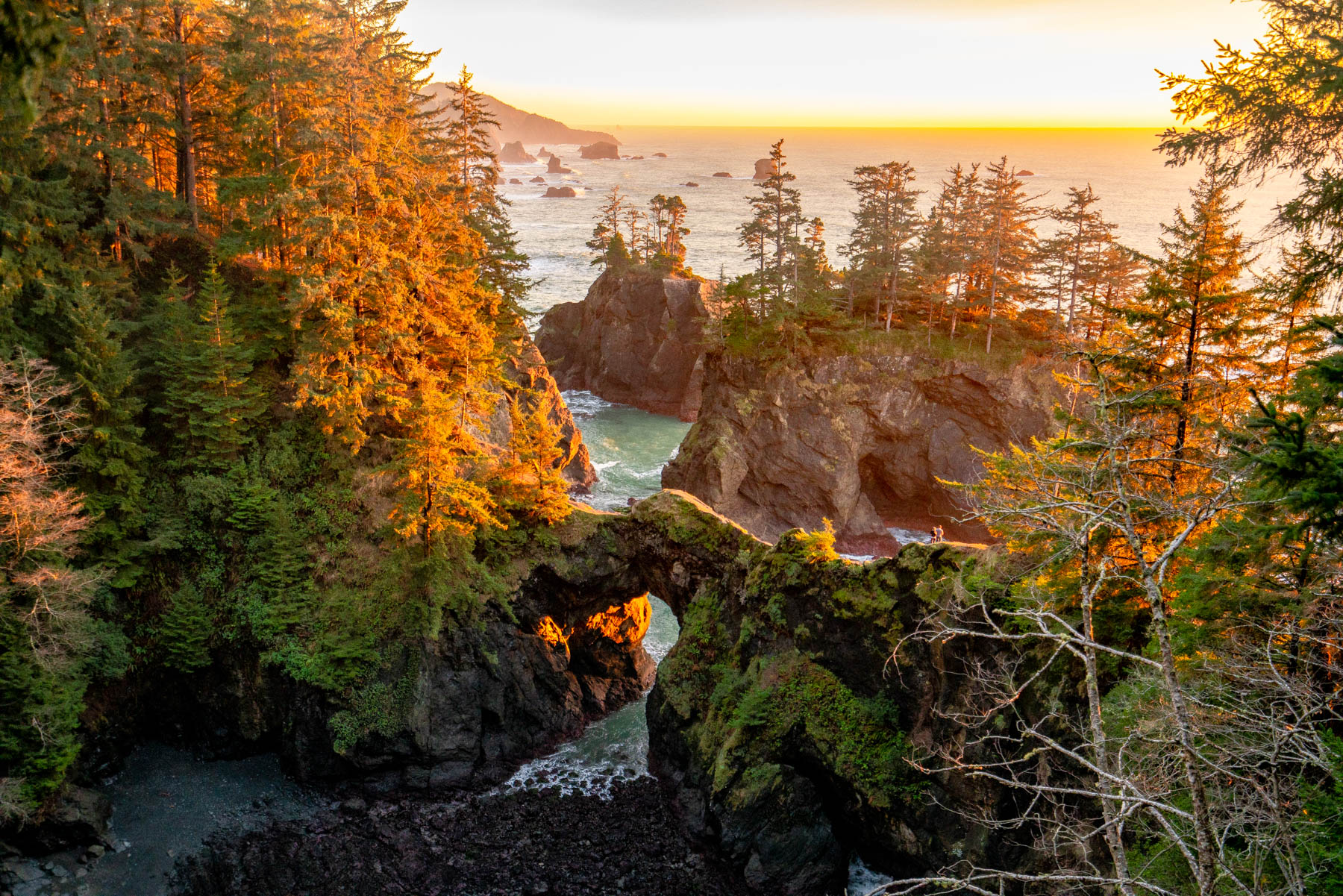 Best hikes in Oregon