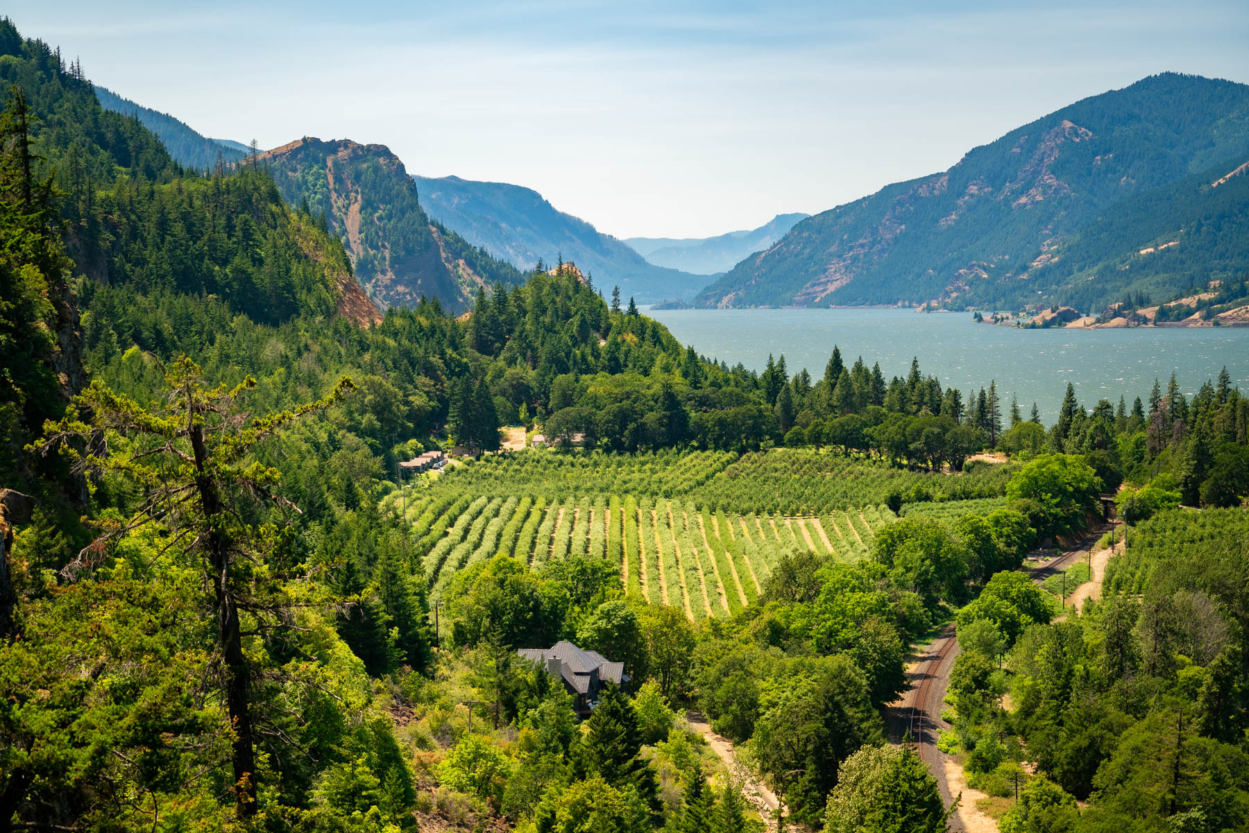 Best wineries Columbia River Gorge