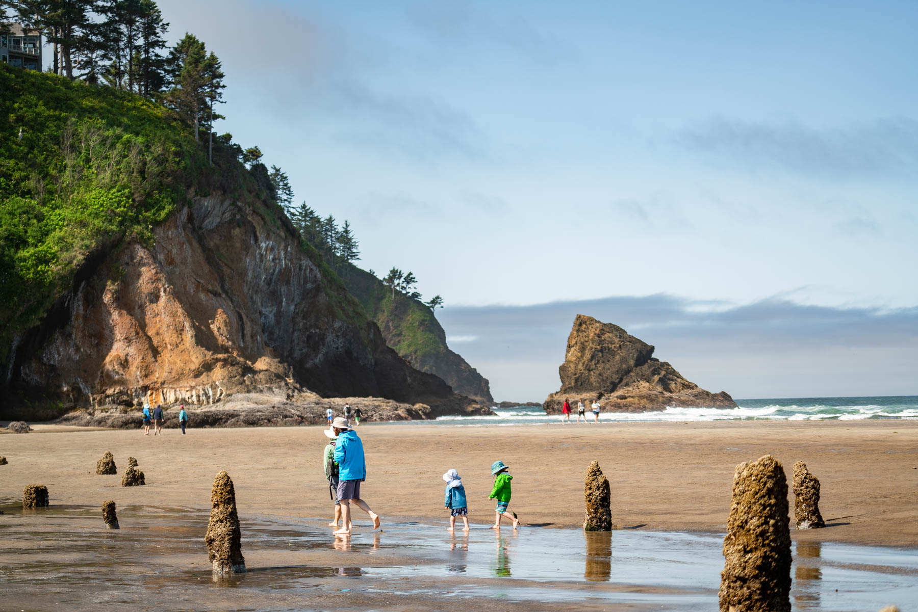 best things to do at the Oregon coast
Ghost Forest Oregon