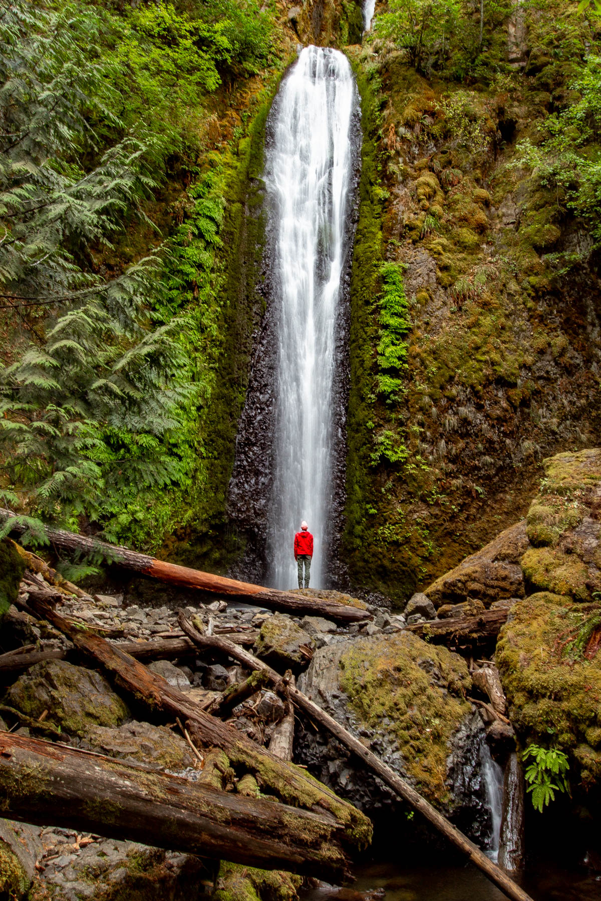 20 WILDLY Beautiful Oregon Waterfalls Worth the Hype (Local's Guide)