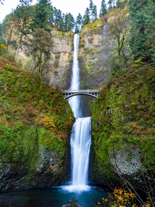 cropped-Oregon-Embrace-someplace-04582.jpg