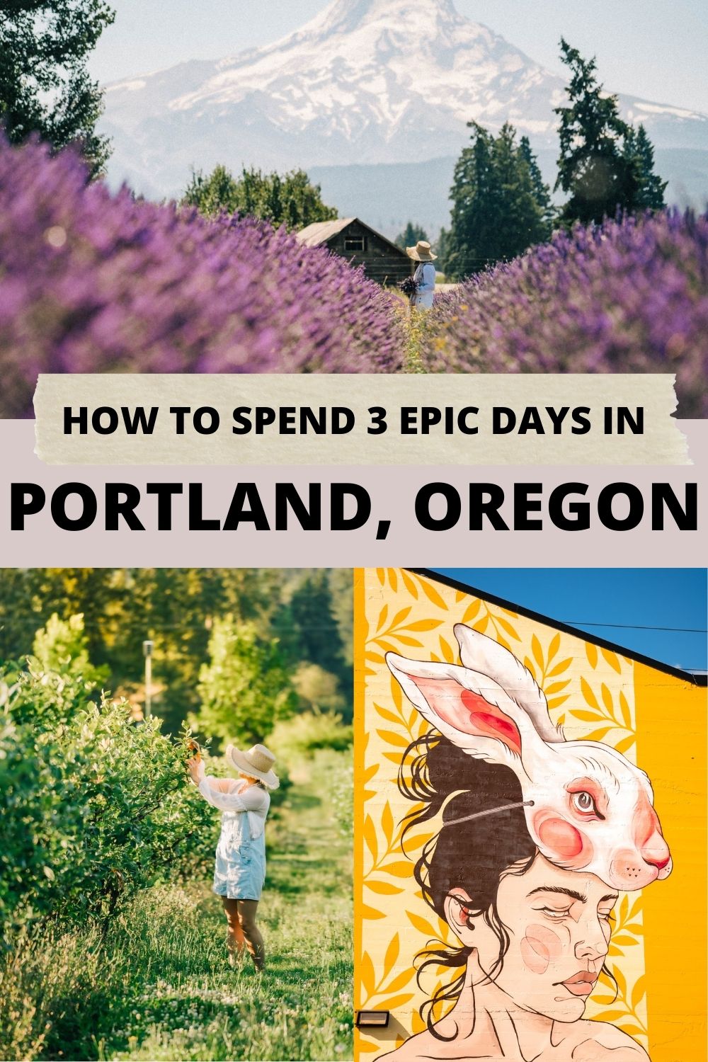 how to spend 3 days in Portland
