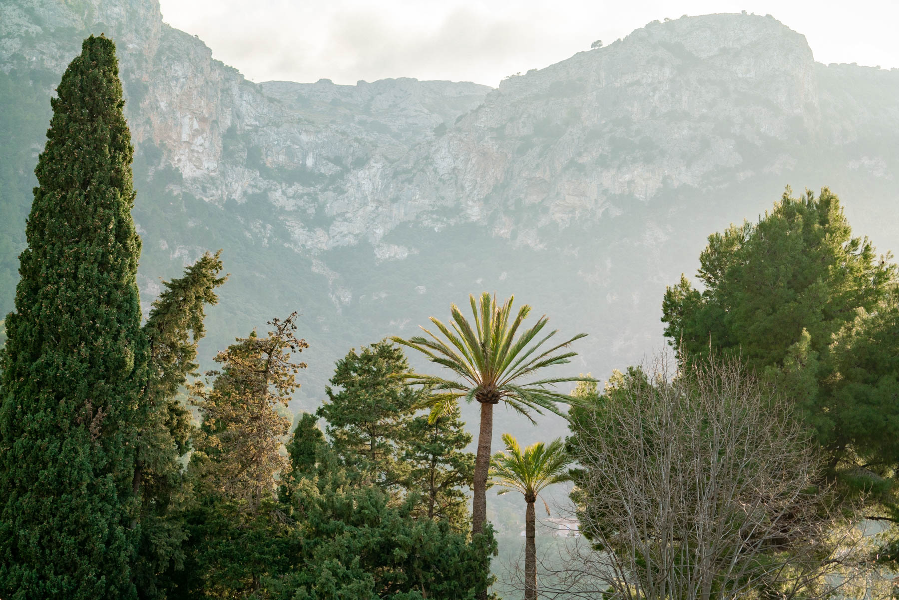 Mountains in Mallorca Spain