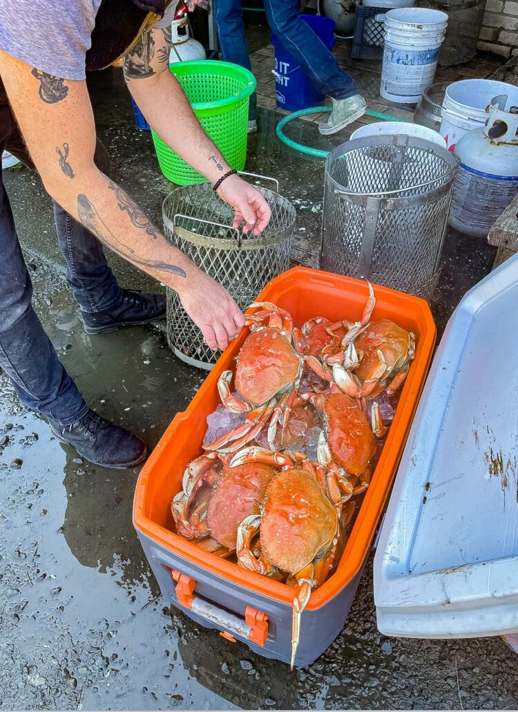 where to go crabbing at the Oregon coast