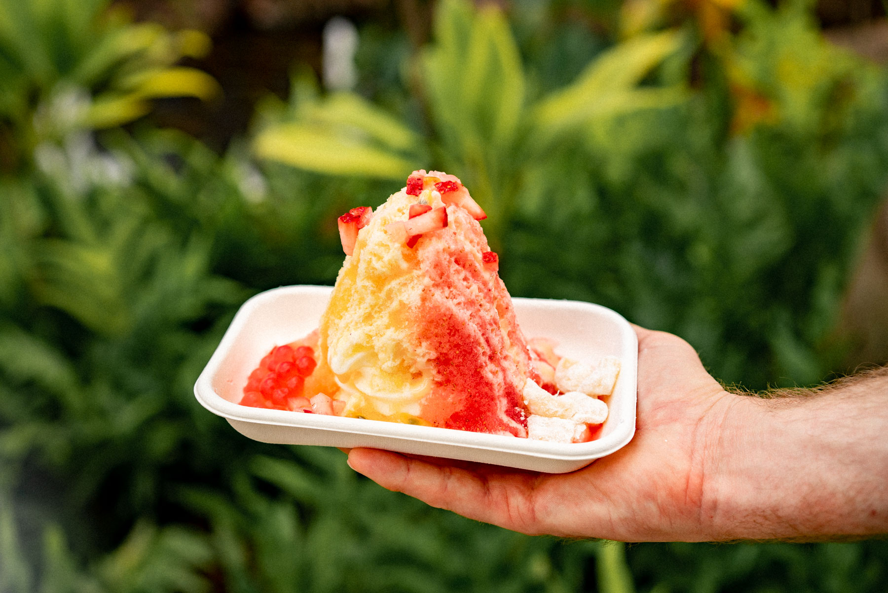 BEST SHAVE ICE OAHU