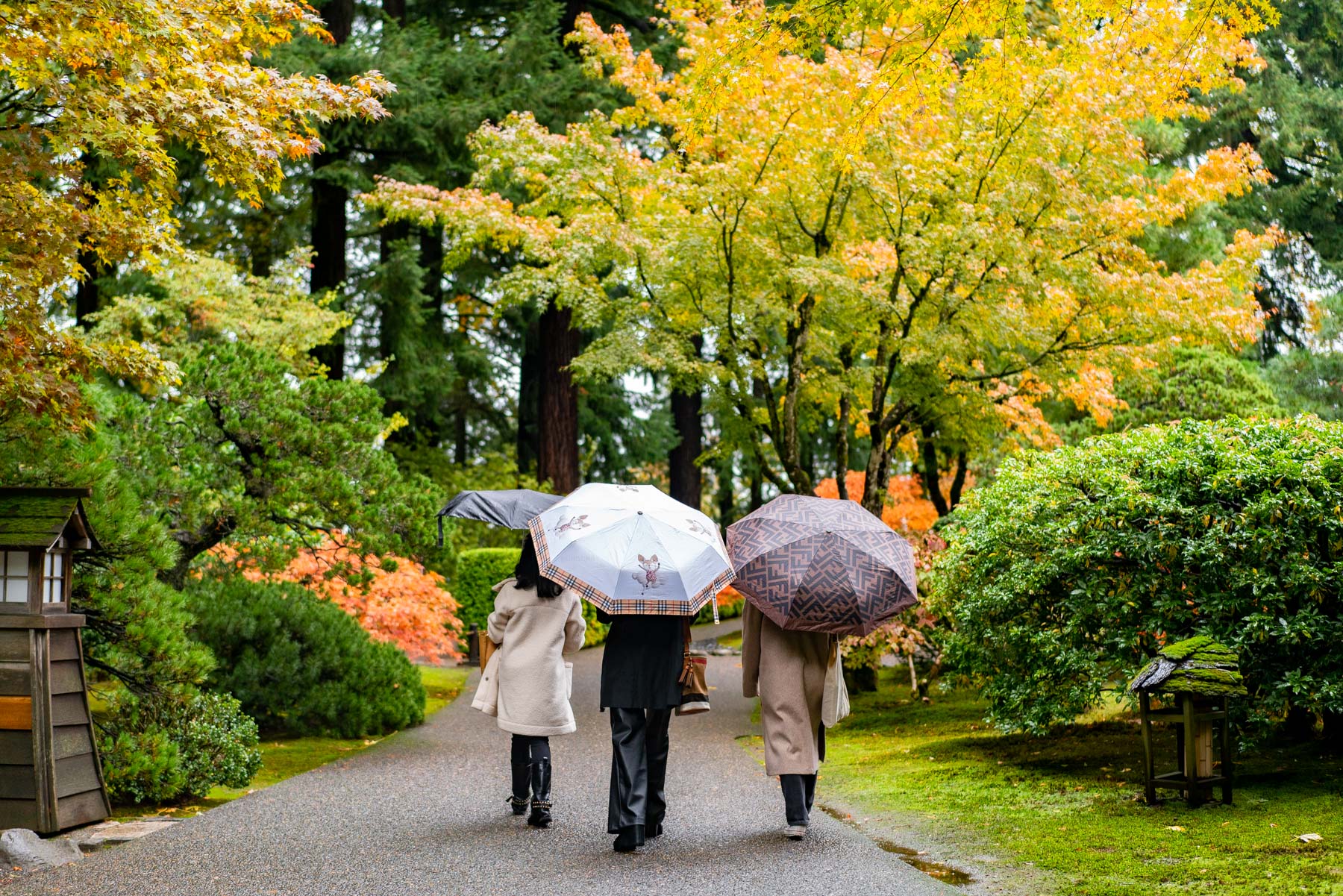 Portland Japanese Garden in the rain