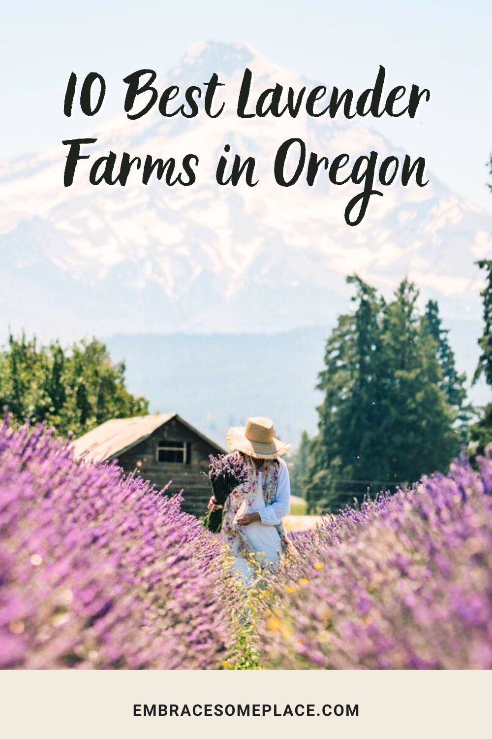 Best Lavender Farms Oregon