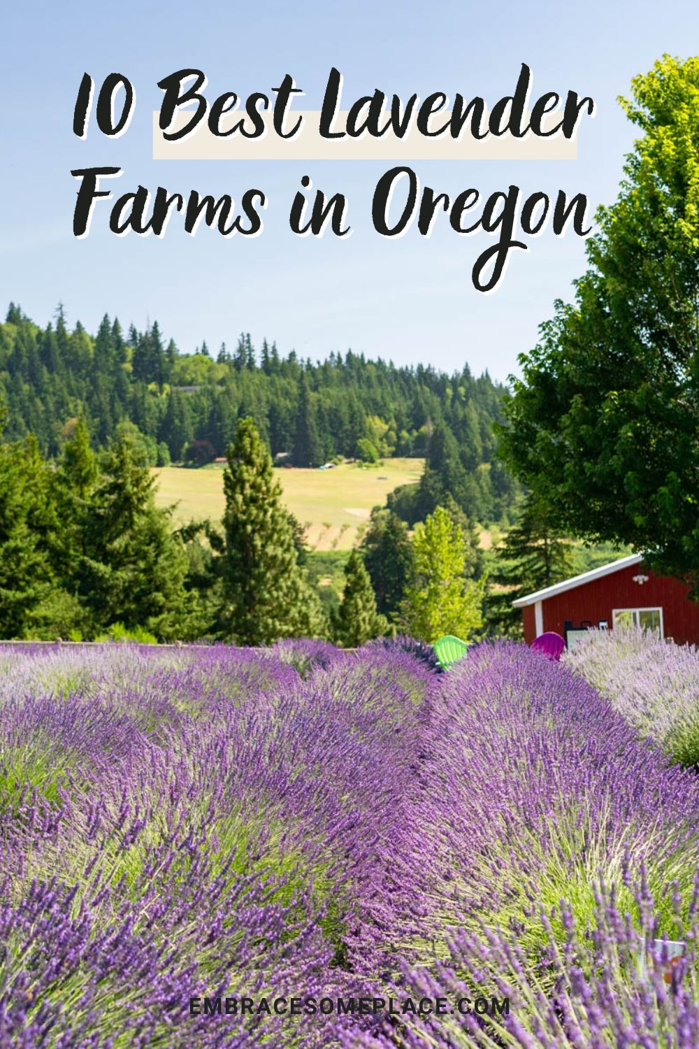 Best Lavender Farms Oregon