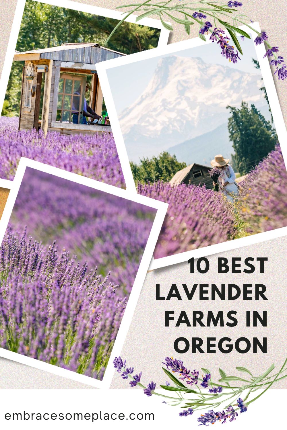 best Oregon lavender farms 