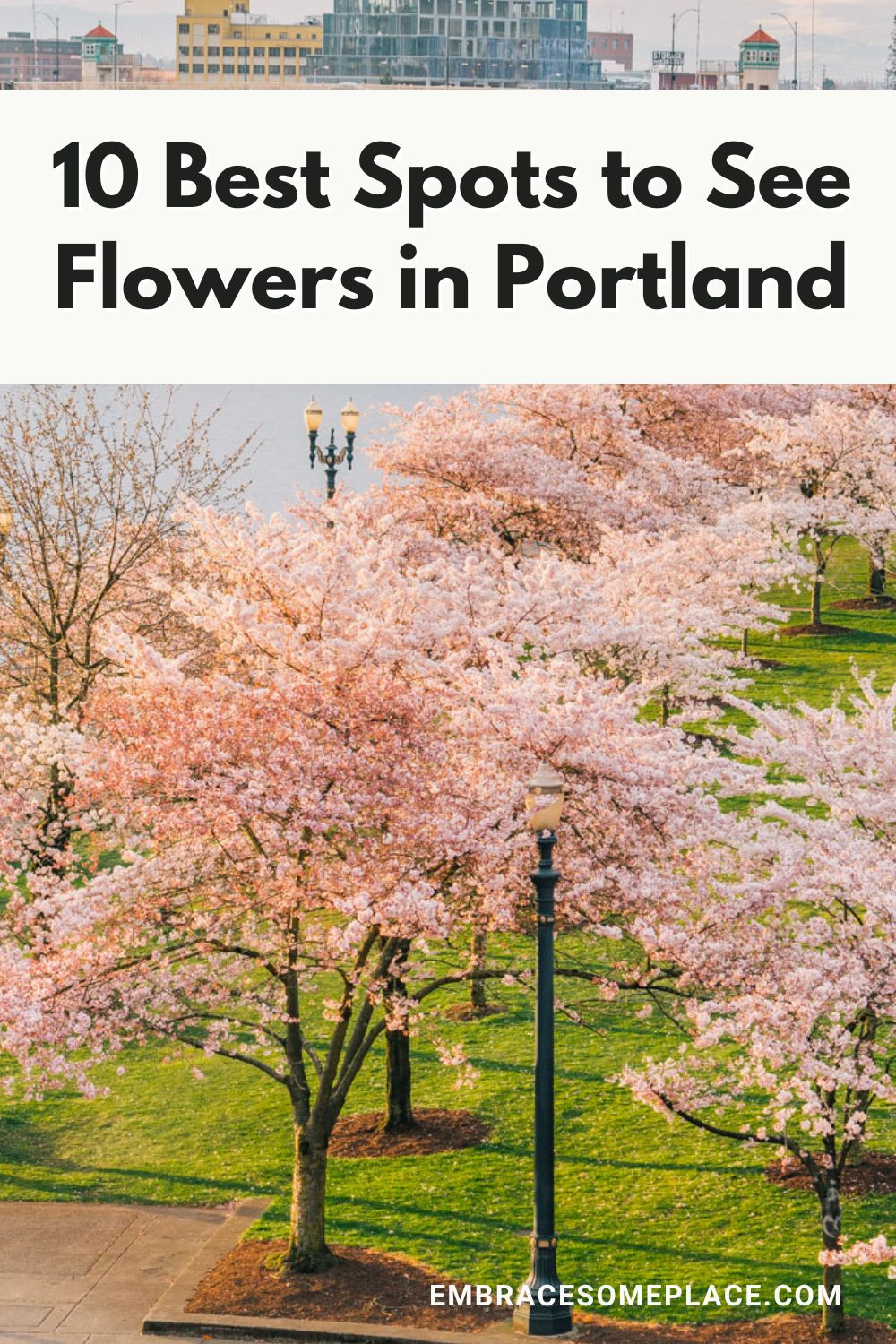 Best flower fields near Portland 