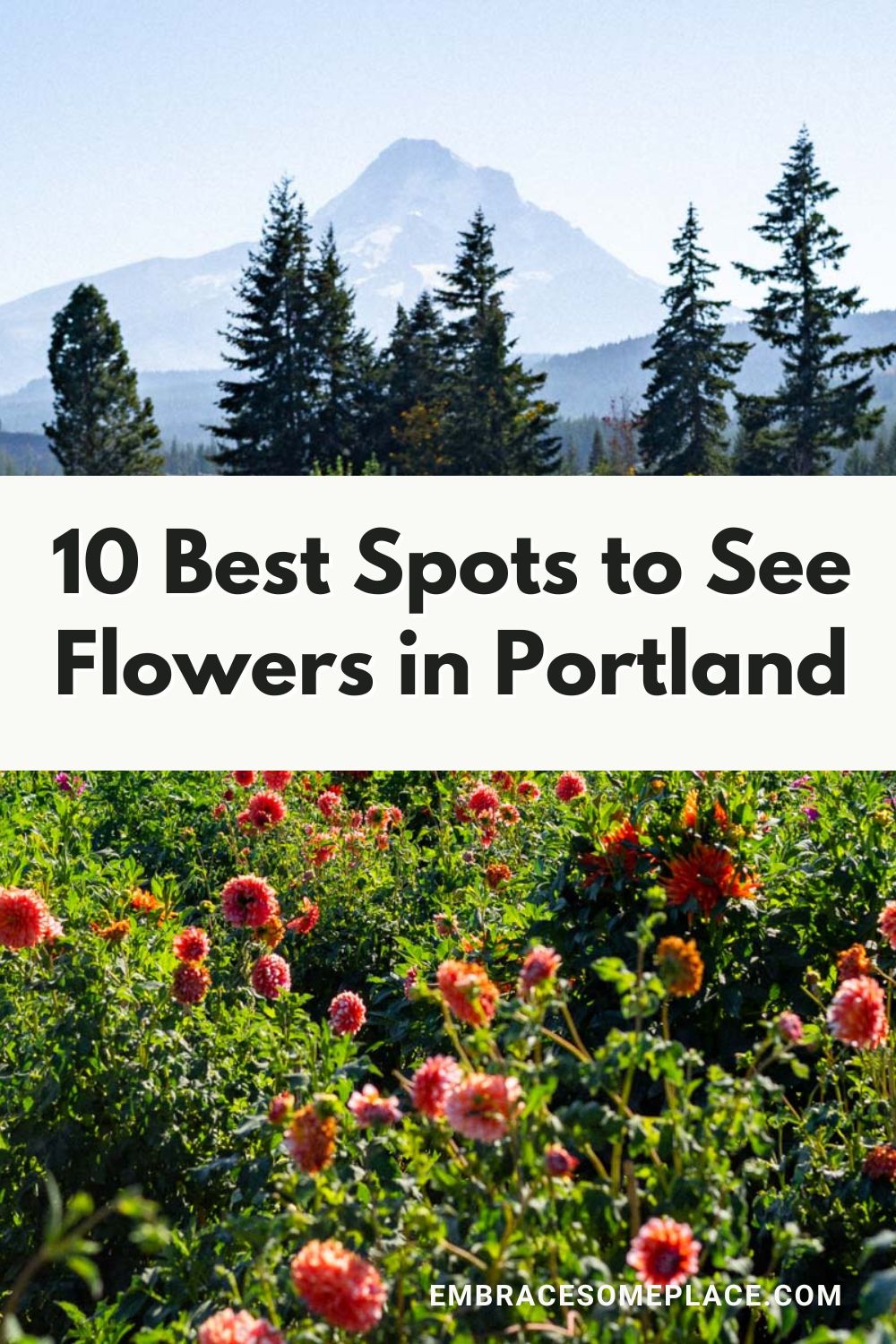 Best flower fields near Portland