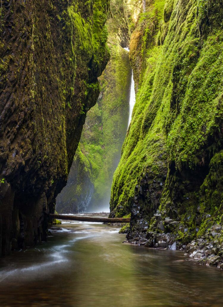 Best hikes in the Columbia River Gorge