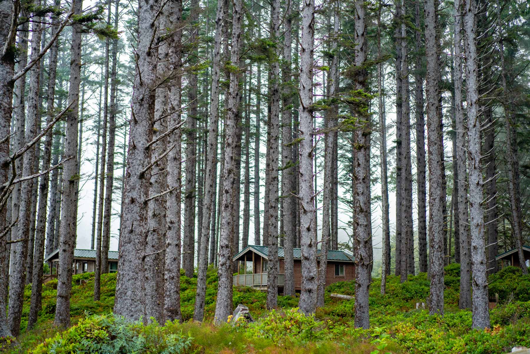Cape Lookout State Park Campground