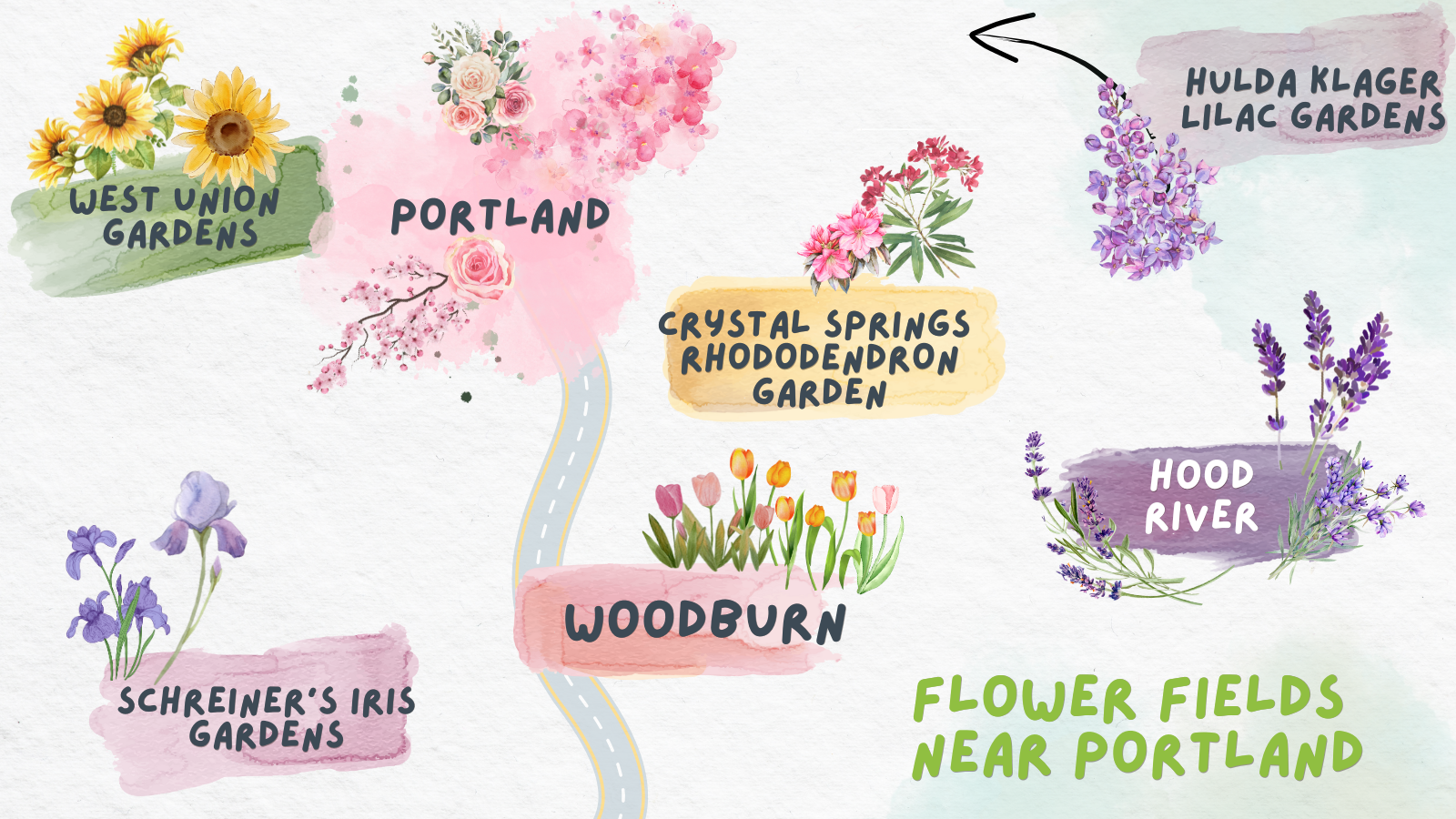 Flower Fields Near Portland Oregon