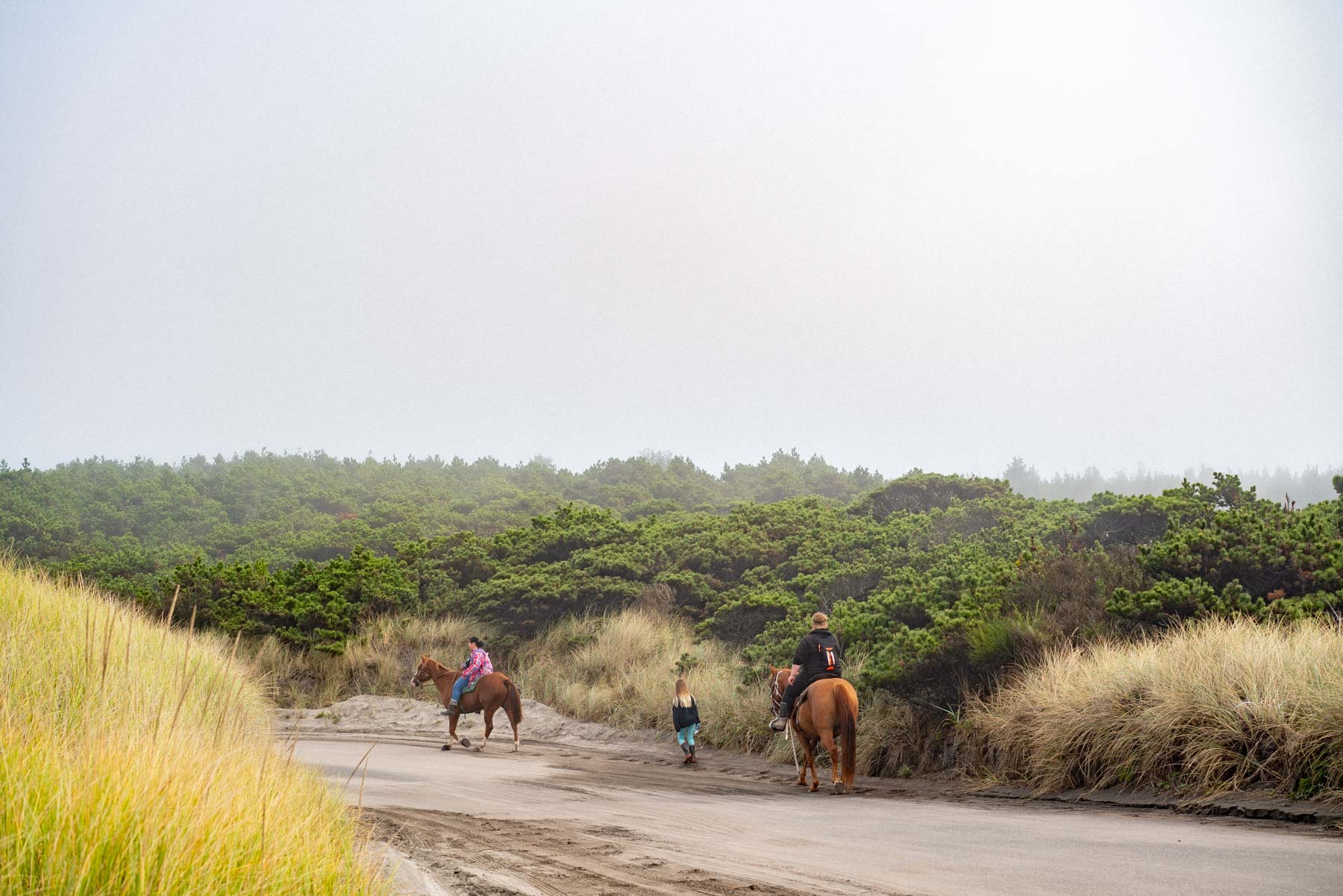 horse riding Oregon Coast