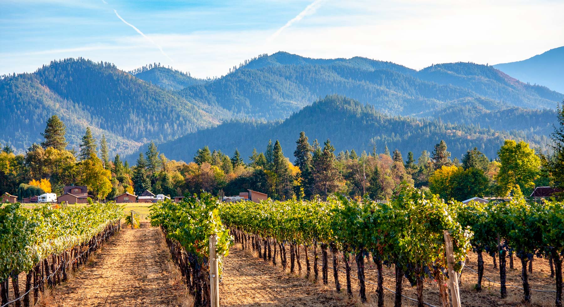 Applegate Valley | Oregon Wine Regions 