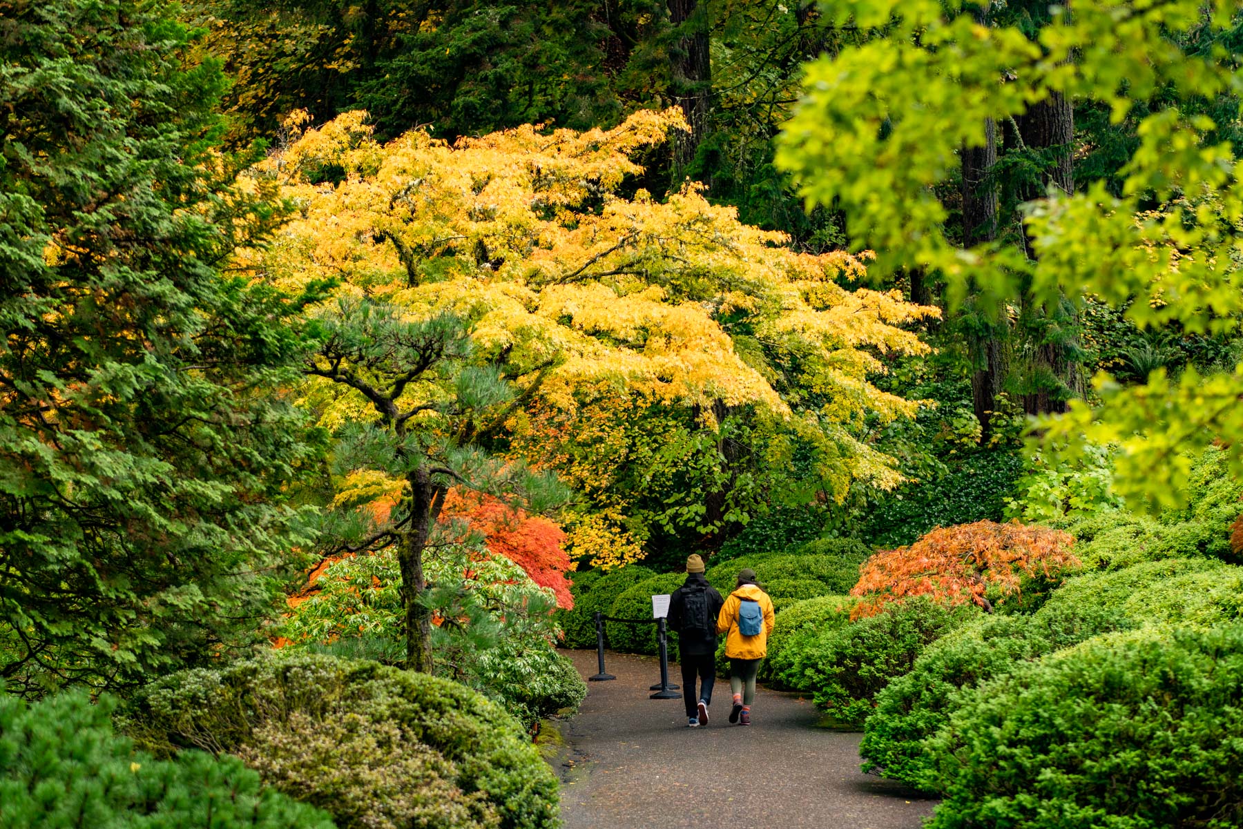 Best Parks Portland Oregon