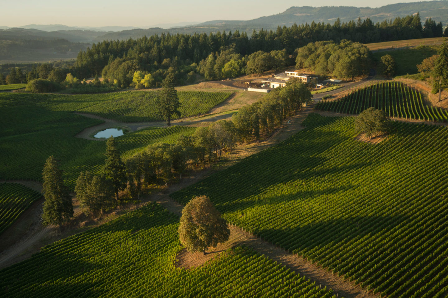 Best wineries Oregon